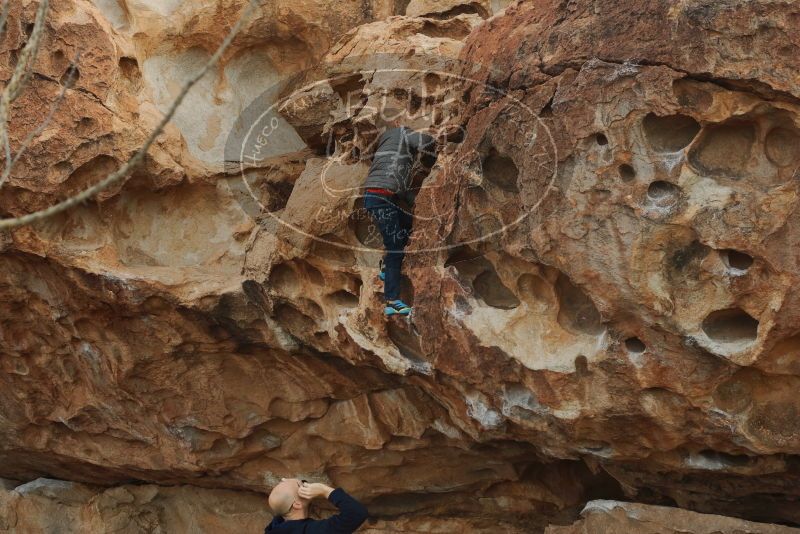 Bouldering in Hueco Tanks on 12/23/2019 with Blue Lizard Climbing and Yoga
Filename: SRM_20191223_1046240.jpg
Aperture: f/5.0
Shutter Speed: 1/500
Body: Canon EOS-1D Mark II
Lens: Canon EF 50mm f/1.8 II
