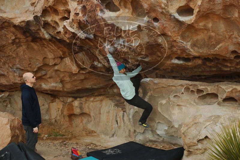 Bouldering in Hueco Tanks on 12/23/2019 with Blue Lizard Climbing and Yoga
Filename: SRM_20191223_1048160.jpg
Aperture: f/5.0
Shutter Speed: 1/500
Body: Canon EOS-1D Mark II
Lens: Canon EF 50mm f/1.8 II
