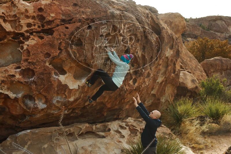 Bouldering in Hueco Tanks on 12/23/2019 with Blue Lizard Climbing and Yoga
Filename: SRM_20191223_1054520.jpg
Aperture: f/6.3
Shutter Speed: 1/500
Body: Canon EOS-1D Mark II
Lens: Canon EF 50mm f/1.8 II