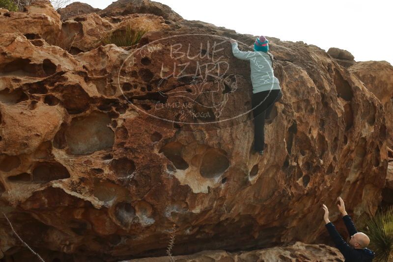 Bouldering in Hueco Tanks on 12/23/2019 with Blue Lizard Climbing and Yoga
Filename: SRM_20191223_1055200.jpg
Aperture: f/8.0
Shutter Speed: 1/500
Body: Canon EOS-1D Mark II
Lens: Canon EF 50mm f/1.8 II