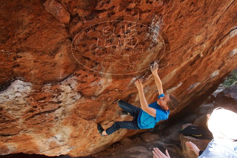 Bouldering in Hueco Tanks on 12/23/2019 with Blue Lizard Climbing and Yoga

Filename: SRM_20191223_1241070.jpg
Aperture: f/5.0
Shutter Speed: 1/200
Body: Canon EOS-1D Mark II
Lens: Canon EF 16-35mm f/2.8 L