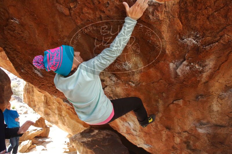 Bouldering in Hueco Tanks on 12/23/2019 with Blue Lizard Climbing and Yoga
Filename: SRM_20191223_1252190.jpg
Aperture: f/5.6
Shutter Speed: 1/250
Body: Canon EOS-1D Mark II
Lens: Canon EF 16-35mm f/2.8 L