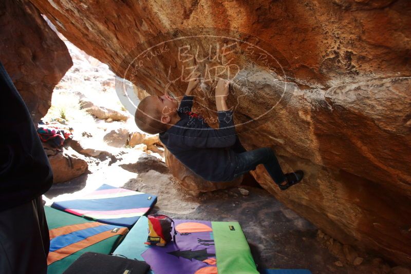 Bouldering in Hueco Tanks on 12/23/2019 with Blue Lizard Climbing and Yoga
Filename: SRM_20191223_1341590.jpg
Aperture: f/5.0
Shutter Speed: 1/250
Body: Canon EOS-1D Mark II
Lens: Canon EF 16-35mm f/2.8 L