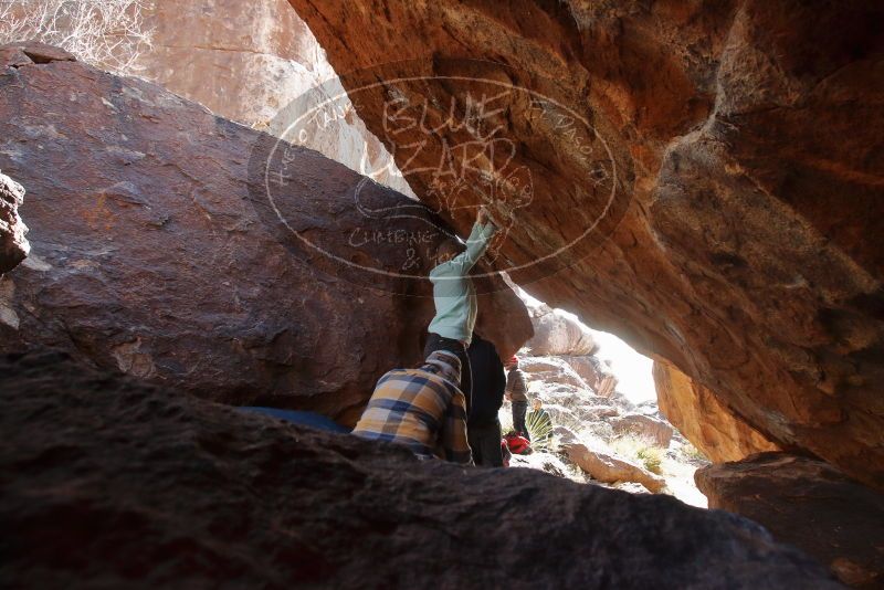 

Filename: SRM_20191223_1349520.jpg
Aperture: f/6.3
Shutter Speed: 1/250
Body: Canon EOS-1D Mark II
Lens: Canon EF 16-35mm f/2.8 L