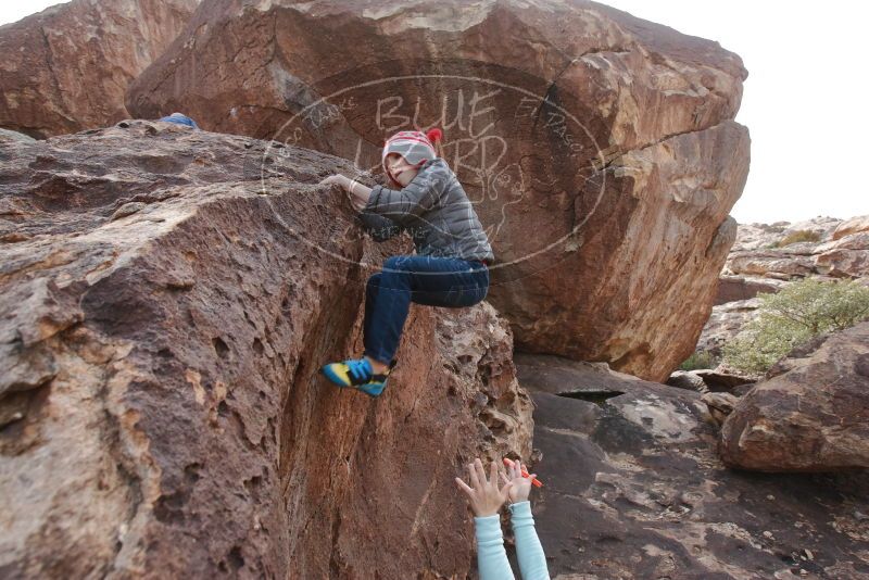 Bouldering in Hueco Tanks on 12/23/2019 with Blue Lizard Climbing and Yoga

Filename: SRM_20191223_1423400.jpg
Aperture: f/7.1
Shutter Speed: 1/250
Body: Canon EOS-1D Mark II
Lens: Canon EF 16-35mm f/2.8 L