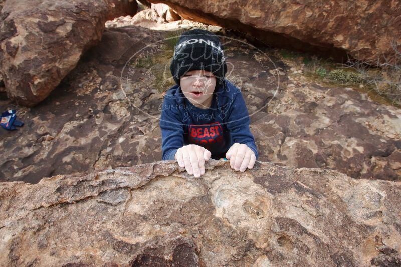 Bouldering in Hueco Tanks on 12/23/2019 with Blue Lizard Climbing and Yoga
Filename: SRM_20191223_1448401.jpg
Aperture: f/8.0
Shutter Speed: 1/250
Body: Canon EOS-1D Mark II
Lens: Canon EF 16-35mm f/2.8 L