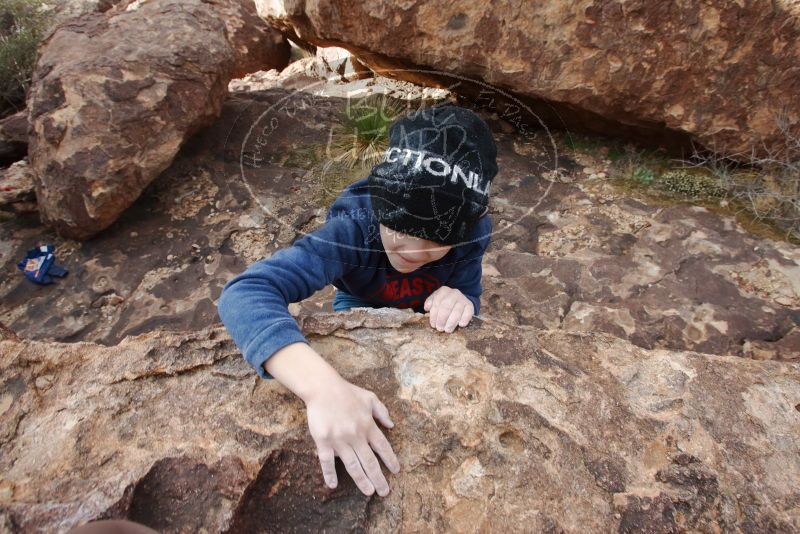 Bouldering in Hueco Tanks on 12/23/2019 with Blue Lizard Climbing and Yoga
Filename: SRM_20191223_1448410.jpg
Aperture: f/8.0
Shutter Speed: 1/250
Body: Canon EOS-1D Mark II
Lens: Canon EF 16-35mm f/2.8 L