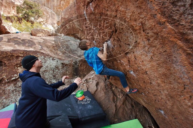 Bouldering in Hueco Tanks on 12/23/2019 with Blue Lizard Climbing and Yoga
Filename: SRM_20191223_1451170.jpg
Aperture: f/5.6
Shutter Speed: 1/250
Body: Canon EOS-1D Mark II
Lens: Canon EF 16-35mm f/2.8 L
