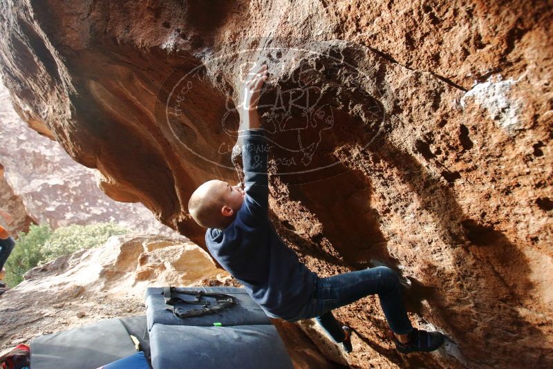 Bouldering in Hueco Tanks on 12/23/2019 with Blue Lizard Climbing and Yoga
Filename: SRM_20191223_1552290.jpg
Aperture: f/4.0
Shutter Speed: 1/250
Body: Canon EOS-1D Mark II
Lens: Canon EF 16-35mm f/2.8 L