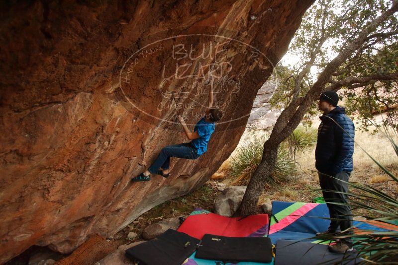 Bouldering in Hueco Tanks on 12/23/2019 with Blue Lizard Climbing and Yoga

Filename: SRM_20191223_1756240.jpg
Aperture: f/3.5
Shutter Speed: 1/200
Body: Canon EOS-1D Mark II
Lens: Canon EF 16-35mm f/2.8 L