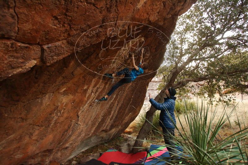 Bouldering in Hueco Tanks on 12/23/2019 with Blue Lizard Climbing and Yoga
Filename: SRM_20191223_1756390.jpg
Aperture: f/3.5
Shutter Speed: 1/200
Body: Canon EOS-1D Mark II
Lens: Canon EF 16-35mm f/2.8 L
