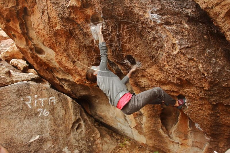 Bouldering in Hueco Tanks on 12/24/2019 with Blue Lizard Climbing and Yoga
Filename: SRM_20191224_1132350.jpg
Aperture: f/4.0
Shutter Speed: 1/250
Body: Canon EOS-1D Mark II
Lens: Canon EF 16-35mm f/2.8 L