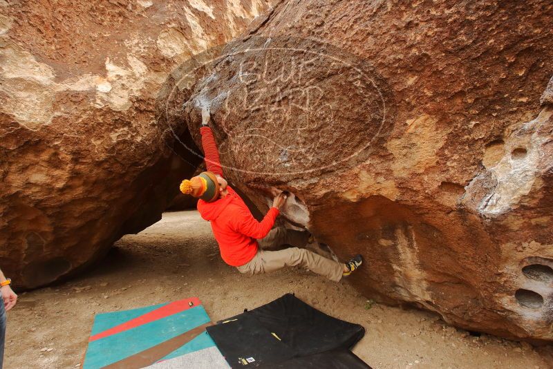 Bouldering in Hueco Tanks on 12/24/2019 with Blue Lizard Climbing and Yoga
Filename: SRM_20191224_1137090.jpg
Aperture: f/6.3
Shutter Speed: 1/250
Body: Canon EOS-1D Mark II
Lens: Canon EF 16-35mm f/2.8 L