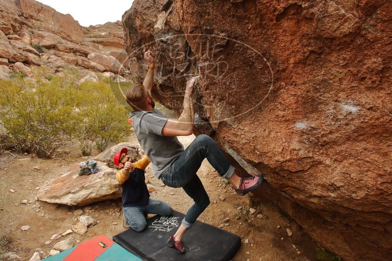 Bouldering in Hueco Tanks on 12/24/2019 with Blue Lizard Climbing and Yoga
Filename: SRM_20191224_1203220.jpg
Aperture: f/6.3
Shutter Speed: 1/320
Body: Canon EOS-1D Mark II
Lens: Canon EF 16-35mm f/2.8 L