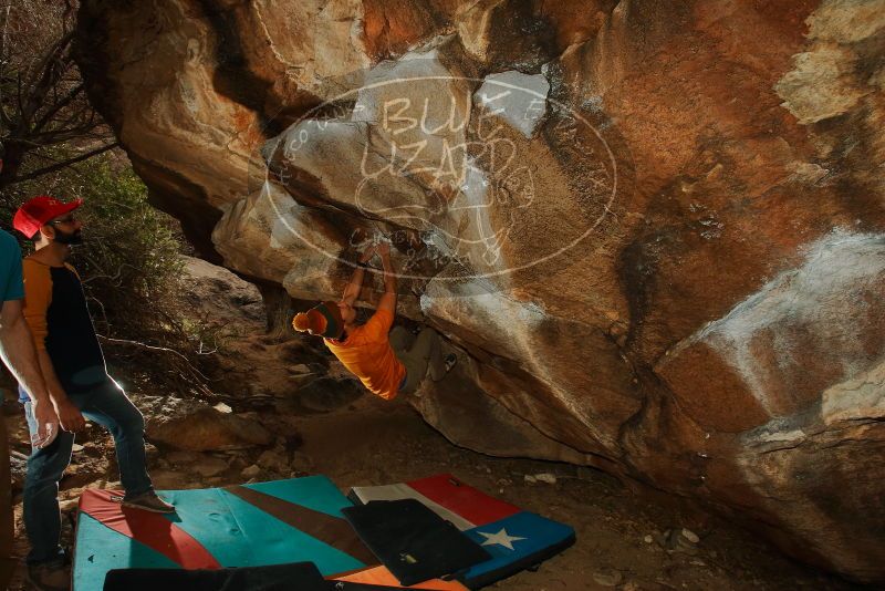 Bouldering in Hueco Tanks on 12/24/2019 with Blue Lizard Climbing and Yoga

Filename: SRM_20191224_1318560.jpg
Aperture: f/8.0
Shutter Speed: 1/250
Body: Canon EOS-1D Mark II
Lens: Canon EF 16-35mm f/2.8 L