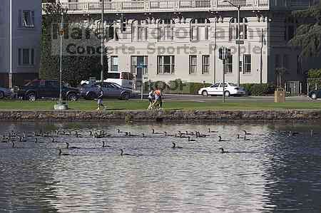 1020409145

Filename: SRM_20050925_130514_3.jpg
Aperture: f/14.0
Shutter Speed: 1/200
Body: Canon EOS 20D
Lens: Canon EF 80-200mm f/2.8 L