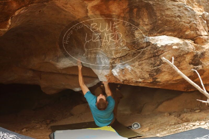Bouldering in Hueco Tanks on 12/24/2019 with Blue Lizard Climbing and Yoga

Filename: SRM_20191224_1441150.jpg
Aperture: f/2.8
Shutter Speed: 1/200
Body: Canon EOS-1D Mark II
Lens: Canon EF 50mm f/1.8 II