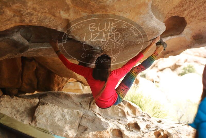 Bouldering in Hueco Tanks on 12/24/2019 with Blue Lizard Climbing and Yoga

Filename: SRM_20191224_1607460.jpg
Aperture: f/3.2
Shutter Speed: 1/200
Body: Canon EOS-1D Mark II
Lens: Canon EF 50mm f/1.8 II