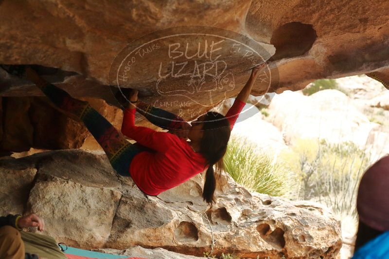 Bouldering in Hueco Tanks on 12/24/2019 with Blue Lizard Climbing and Yoga

Filename: SRM_20191224_1607570.jpg
Aperture: f/4.0
Shutter Speed: 1/200
Body: Canon EOS-1D Mark II
Lens: Canon EF 50mm f/1.8 II