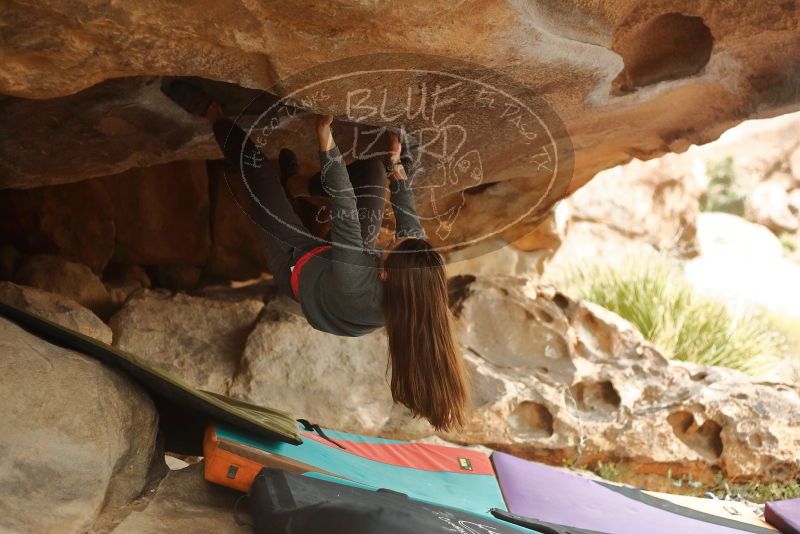 Bouldering in Hueco Tanks on 12/24/2019 with Blue Lizard Climbing and Yoga

Filename: SRM_20191224_1618410.jpg
Aperture: f/2.5
Shutter Speed: 1/200
Body: Canon EOS-1D Mark II
Lens: Canon EF 50mm f/1.8 II
