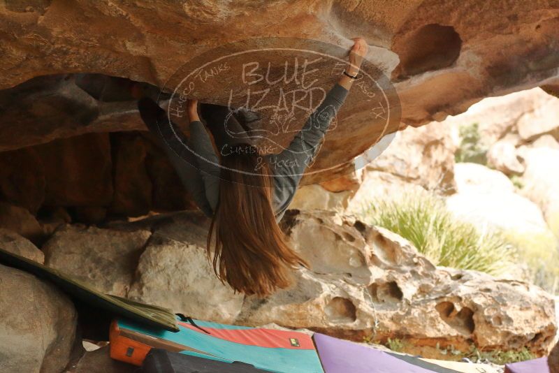 Bouldering in Hueco Tanks on 12/24/2019 with Blue Lizard Climbing and Yoga

Filename: SRM_20191224_1618530.jpg
Aperture: f/4.0
Shutter Speed: 1/250
Body: Canon EOS-1D Mark II
Lens: Canon EF 50mm f/1.8 II
