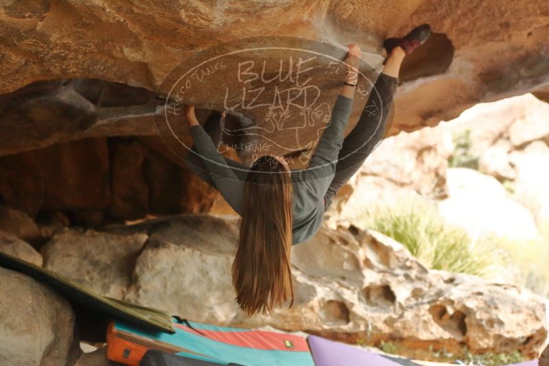 Bouldering in Hueco Tanks on 12/24/2019 with Blue Lizard Climbing and Yoga

Filename: SRM_20191224_1618550.jpg
Aperture: f/3.5
Shutter Speed: 1/250
Body: Canon EOS-1D Mark II
Lens: Canon EF 50mm f/1.8 II