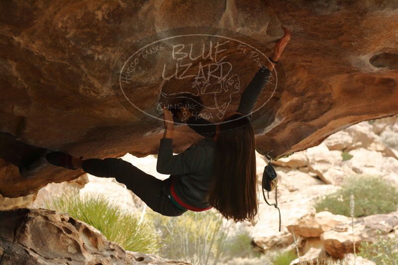 Bouldering in Hueco Tanks on 12/24/2019 with Blue Lizard Climbing and Yoga

Filename: SRM_20191224_1619090.jpg
Aperture: f/4.0
Shutter Speed: 1/250
Body: Canon EOS-1D Mark II
Lens: Canon EF 50mm f/1.8 II
