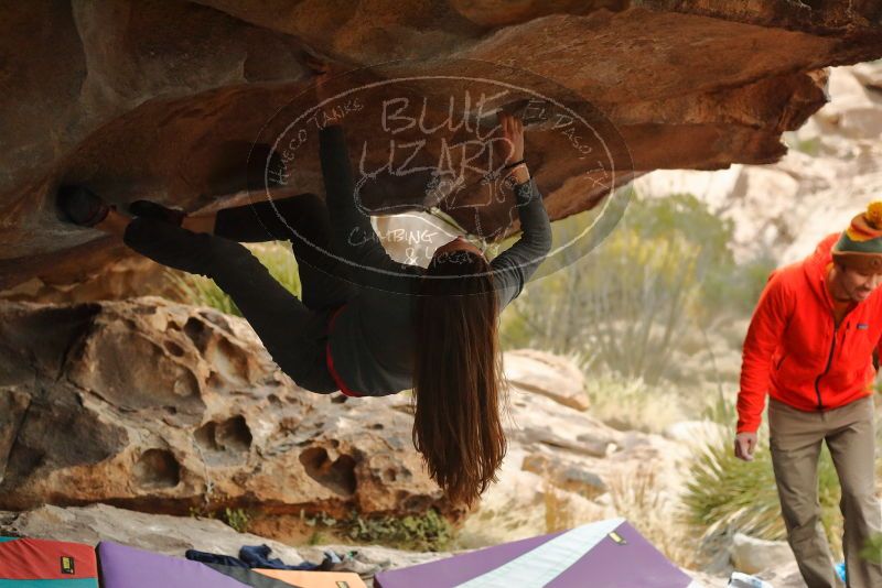 Bouldering in Hueco Tanks on 12/24/2019 with Blue Lizard Climbing and Yoga

Filename: SRM_20191224_1625160.jpg
Aperture: f/3.2
Shutter Speed: 1/250
Body: Canon EOS-1D Mark II
Lens: Canon EF 50mm f/1.8 II