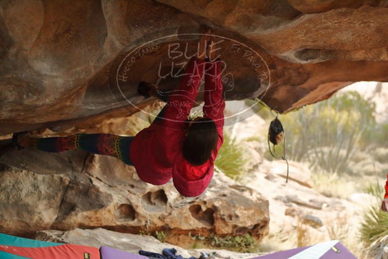 Bouldering in Hueco Tanks on 12/24/2019 with Blue Lizard Climbing and Yoga

Filename: SRM_20191224_1625560.jpg
Aperture: f/2.8
Shutter Speed: 1/250
Body: Canon EOS-1D Mark II
Lens: Canon EF 50mm f/1.8 II