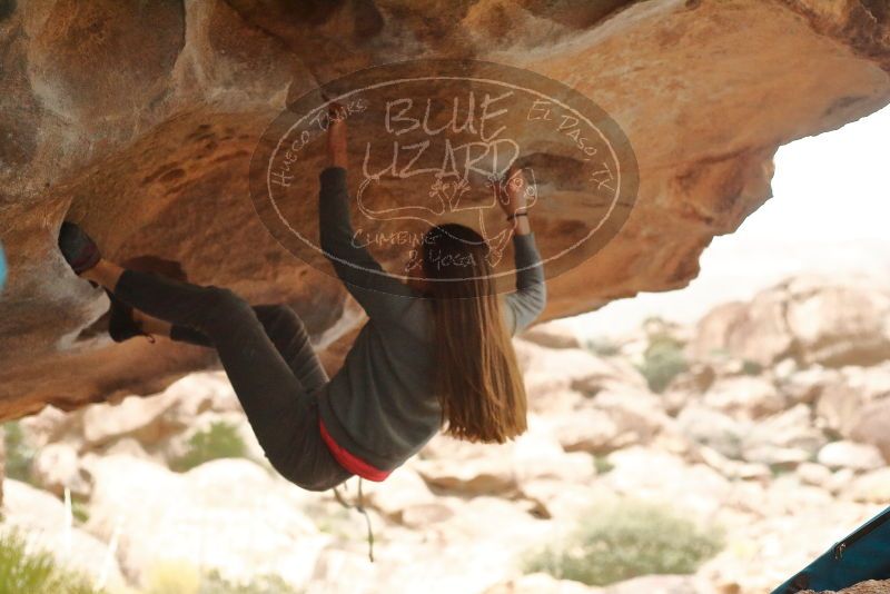 Bouldering in Hueco Tanks on 12/24/2019 with Blue Lizard Climbing and Yoga

Filename: SRM_20191224_1632080.jpg
Aperture: f/3.2
Shutter Speed: 1/250
Body: Canon EOS-1D Mark II
Lens: Canon EF 50mm f/1.8 II