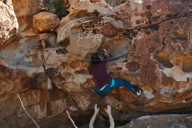 Bouldering in Hueco Tanks on 12/26/2019 with Blue Lizard Climbing and Yoga
Filename: SRM_20191226_1108190.jpg
Aperture: f/5.6
Shutter Speed: 1/250
Body: Canon EOS-1D Mark II
Lens: Canon EF 50mm f/1.8 II