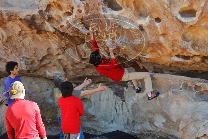Bouldering in Hueco Tanks on 12/26/2019 with Blue Lizard Climbing and Yoga
Filename: SRM_20191226_1117540.jpg
Aperture: f/4.0
Shutter Speed: 1/250
Body: Canon EOS-1D Mark II
Lens: Canon EF 50mm f/1.8 II