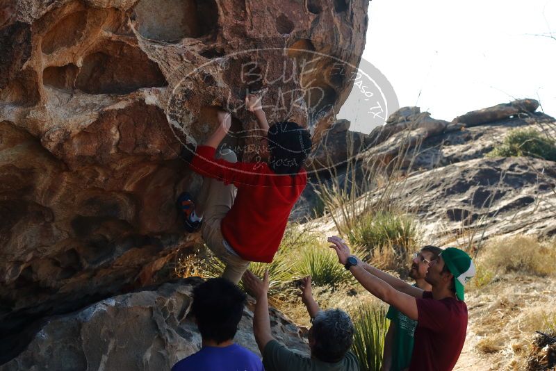 Bouldering in Hueco Tanks on 12/26/2019 with Blue Lizard Climbing and Yoga
Filename: SRM_20191226_1121330.jpg
Aperture: f/6.3
Shutter Speed: 1/250
Body: Canon EOS-1D Mark II
Lens: Canon EF 50mm f/1.8 II