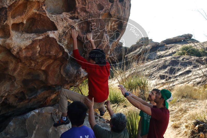 Bouldering in Hueco Tanks on 12/26/2019 with Blue Lizard Climbing and Yoga
Filename: SRM_20191226_1121331.jpg
Aperture: f/6.3
Shutter Speed: 1/250
Body: Canon EOS-1D Mark II
Lens: Canon EF 50mm f/1.8 II