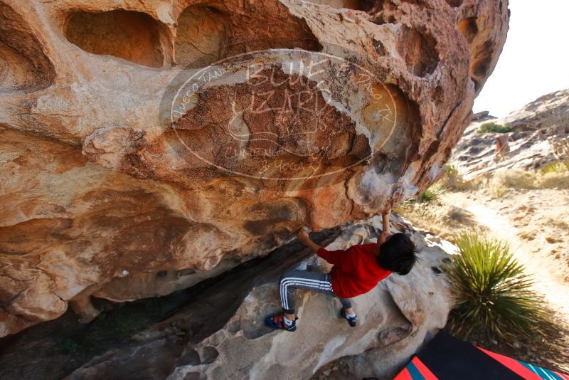 Bouldering in Hueco Tanks on 12/26/2019 with Blue Lizard Climbing and Yoga

Filename: SRM_20191226_1128540.jpg
Aperture: f/5.6
Shutter Speed: 1/500
Body: Canon EOS-1D Mark II
Lens: Canon EF 16-35mm f/2.8 L