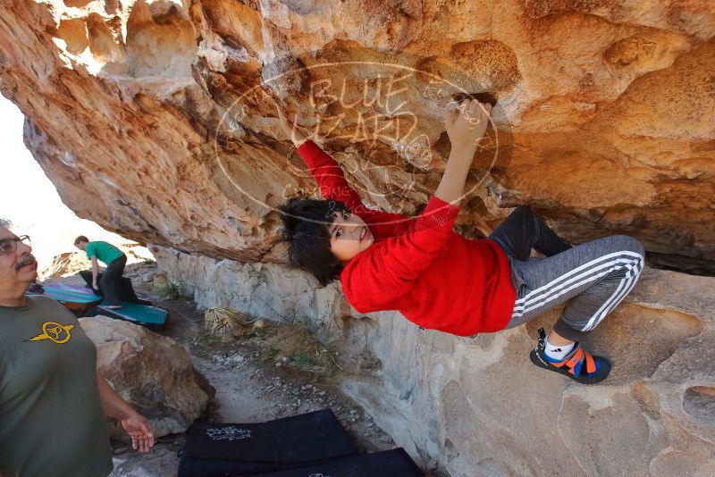 Bouldering in Hueco Tanks on 12/26/2019 with Blue Lizard Climbing and Yoga
Filename: SRM_20191226_1142471.jpg
Aperture: f/5.6
Shutter Speed: 1/320
Body: Canon EOS-1D Mark II
Lens: Canon EF 16-35mm f/2.8 L
