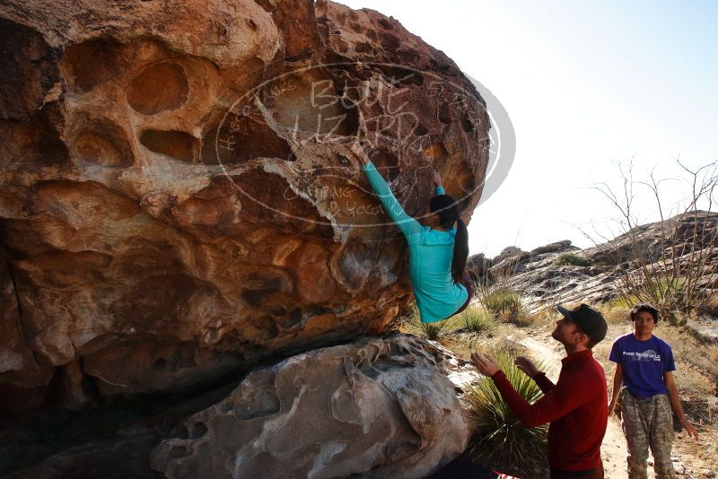 Bouldering in Hueco Tanks on 12/26/2019 with Blue Lizard Climbing and Yoga
Filename: SRM_20191226_1150300.jpg
Aperture: f/8.0
Shutter Speed: 1/320
Body: Canon EOS-1D Mark II
Lens: Canon EF 16-35mm f/2.8 L