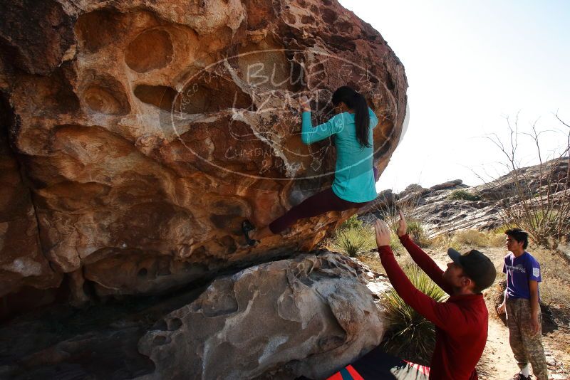 Bouldering in Hueco Tanks on 12/26/2019 with Blue Lizard Climbing and Yoga
Filename: SRM_20191226_1150360.jpg
Aperture: f/8.0
Shutter Speed: 1/320
Body: Canon EOS-1D Mark II
Lens: Canon EF 16-35mm f/2.8 L