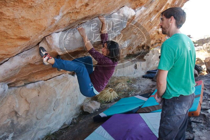 Bouldering in Hueco Tanks on 12/26/2019 with Blue Lizard Climbing and Yoga
Filename: SRM_20191226_1151311.jpg
Aperture: f/4.0
Shutter Speed: 1/320
Body: Canon EOS-1D Mark II
Lens: Canon EF 16-35mm f/2.8 L