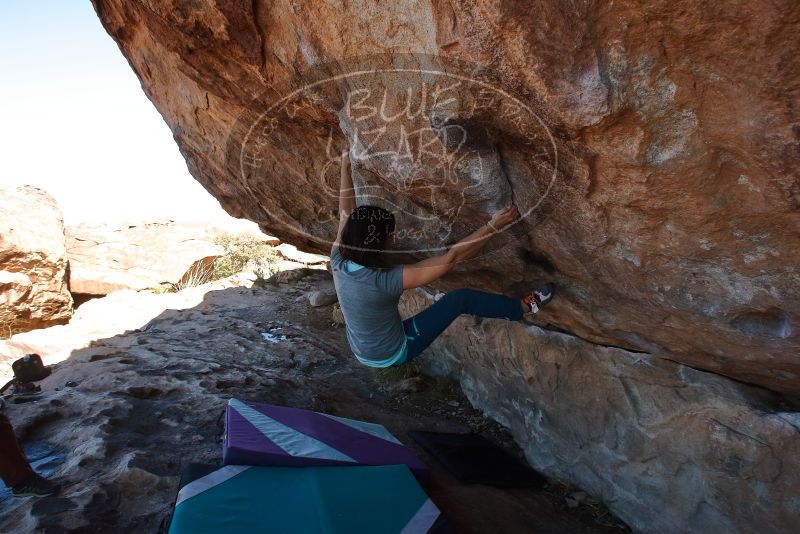 Bouldering in Hueco Tanks on 12/26/2019 with Blue Lizard Climbing and Yoga

Filename: SRM_20191226_1212460.jpg
Aperture: f/6.3
Shutter Speed: 1/320
Body: Canon EOS-1D Mark II
Lens: Canon EF 16-35mm f/2.8 L