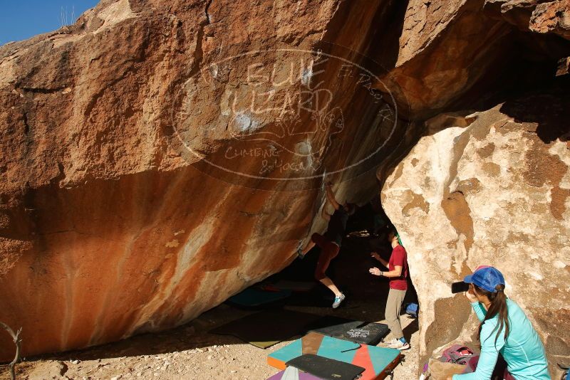 Bouldering in Hueco Tanks on 12/26/2019 with Blue Lizard Climbing and Yoga
Filename: SRM_20191226_1256440.jpg
Aperture: f/8.0
Shutter Speed: 1/250
Body: Canon EOS-1D Mark II
Lens: Canon EF 16-35mm f/2.8 L