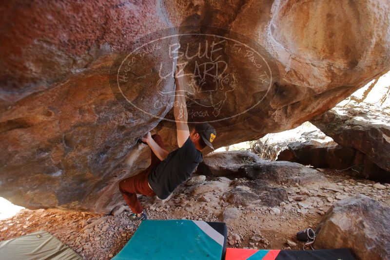 Bouldering in Hueco Tanks on 12/26/2019 with Blue Lizard Climbing and Yoga
Filename: SRM_20191226_1342150.jpg
Aperture: f/2.8
Shutter Speed: 1/160
Body: Canon EOS-1D Mark II
Lens: Canon EF 16-35mm f/2.8 L