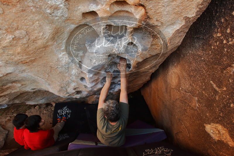 Bouldering in Hueco Tanks on 12/26/2019 with Blue Lizard Climbing and Yoga
Filename: SRM_20191226_1458060.jpg
Aperture: f/5.0
Shutter Speed: 1/250
Body: Canon EOS-1D Mark II
Lens: Canon EF 16-35mm f/2.8 L