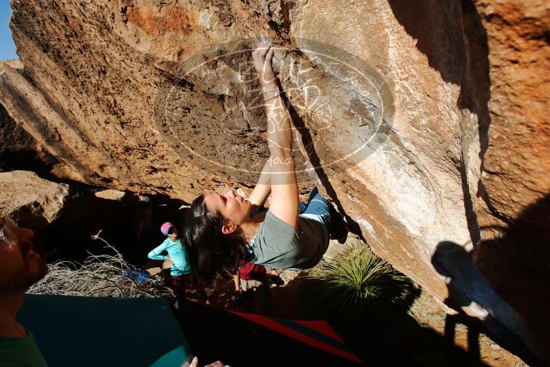 Bouldering in Hueco Tanks on 12/26/2019 with Blue Lizard Climbing and Yoga

Filename: SRM_20191226_1508260.jpg
Aperture: f/6.3
Shutter Speed: 1/400
Body: Canon EOS-1D Mark II
Lens: Canon EF 16-35mm f/2.8 L