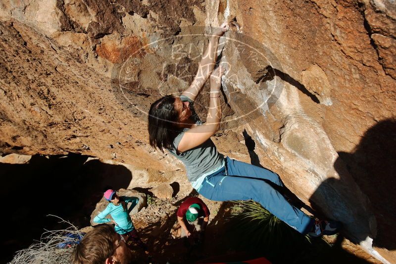 Bouldering in Hueco Tanks on 12/26/2019 with Blue Lizard Climbing and Yoga
Filename: SRM_20191226_1508351.jpg
Aperture: f/6.3
Shutter Speed: 1/400
Body: Canon EOS-1D Mark II
Lens: Canon EF 16-35mm f/2.8 L