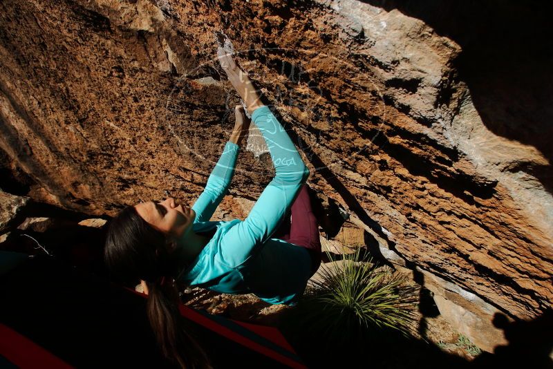 Bouldering in Hueco Tanks on 12/26/2019 with Blue Lizard Climbing and Yoga

Filename: SRM_20191226_1514560.jpg
Aperture: f/7.1
Shutter Speed: 1/500
Body: Canon EOS-1D Mark II
Lens: Canon EF 16-35mm f/2.8 L
