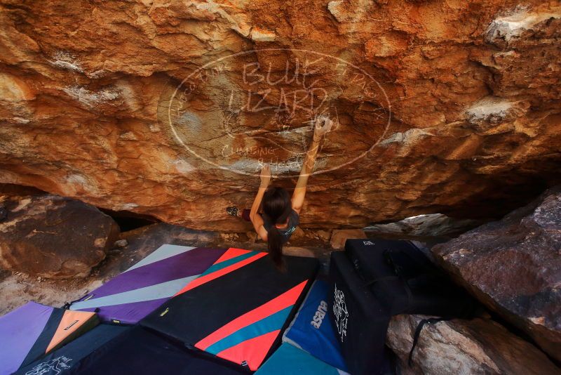 Bouldering in Hueco Tanks on 12/26/2019 with Blue Lizard Climbing and Yoga

Filename: SRM_20191226_1606040.jpg
Aperture: f/4.5
Shutter Speed: 1/250
Body: Canon EOS-1D Mark II
Lens: Canon EF 16-35mm f/2.8 L