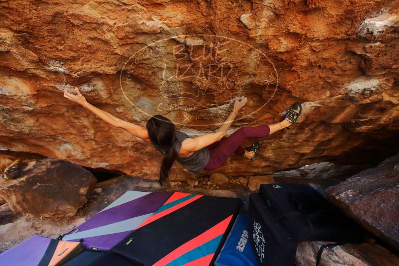 Bouldering in Hueco Tanks on 12/26/2019 with Blue Lizard Climbing and Yoga
Filename: SRM_20191226_1607080.jpg
Aperture: f/4.5
Shutter Speed: 1/250
Body: Canon EOS-1D Mark II
Lens: Canon EF 16-35mm f/2.8 L