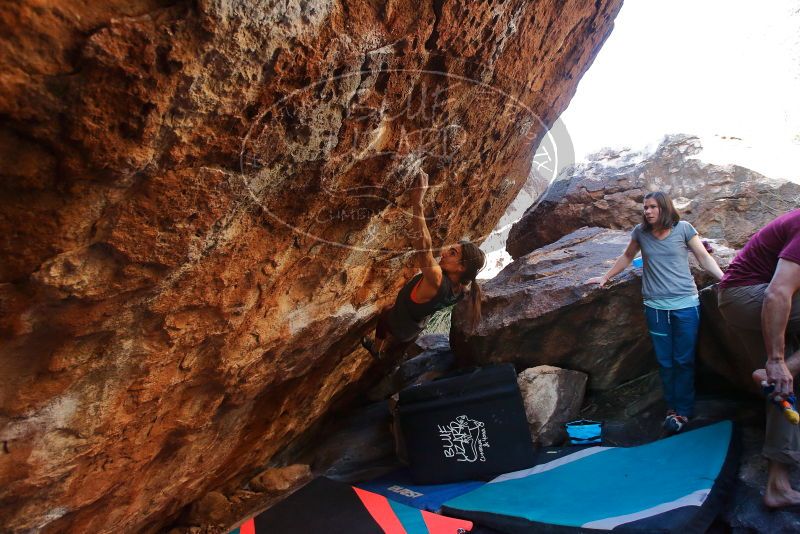 Bouldering in Hueco Tanks on 12/26/2019 with Blue Lizard Climbing and Yoga

Filename: SRM_20191226_1612470.jpg
Aperture: f/4.5
Shutter Speed: 1/250
Body: Canon EOS-1D Mark II
Lens: Canon EF 16-35mm f/2.8 L