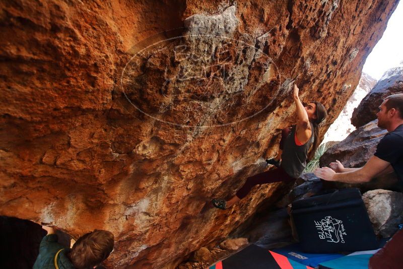 Bouldering in Hueco Tanks on 12/26/2019 with Blue Lizard Climbing and Yoga

Filename: SRM_20191226_1612510.jpg
Aperture: f/4.0
Shutter Speed: 1/250
Body: Canon EOS-1D Mark II
Lens: Canon EF 16-35mm f/2.8 L